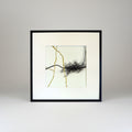 32x32cm, framed
charcoal, ink and acrylic on paper