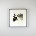 32x32cm, framed
charcoal, ink and acrylic on paper